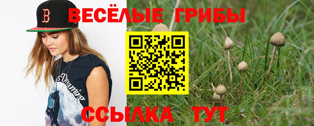 Галлюциногенные грибы прущие грибы Каменск-Уральский
